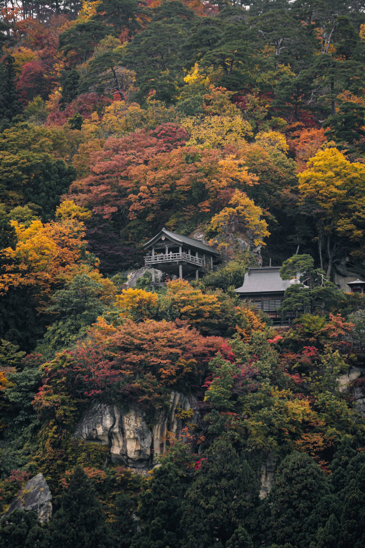 山寺の秋の写真