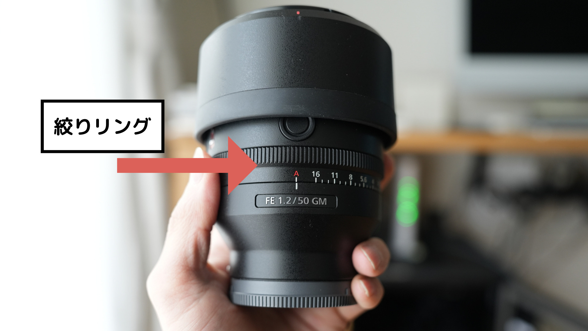 SONY FE50mmF1.2GMレビュー】至高の単焦点レンズ｜作例あり｜SEL50F12GM