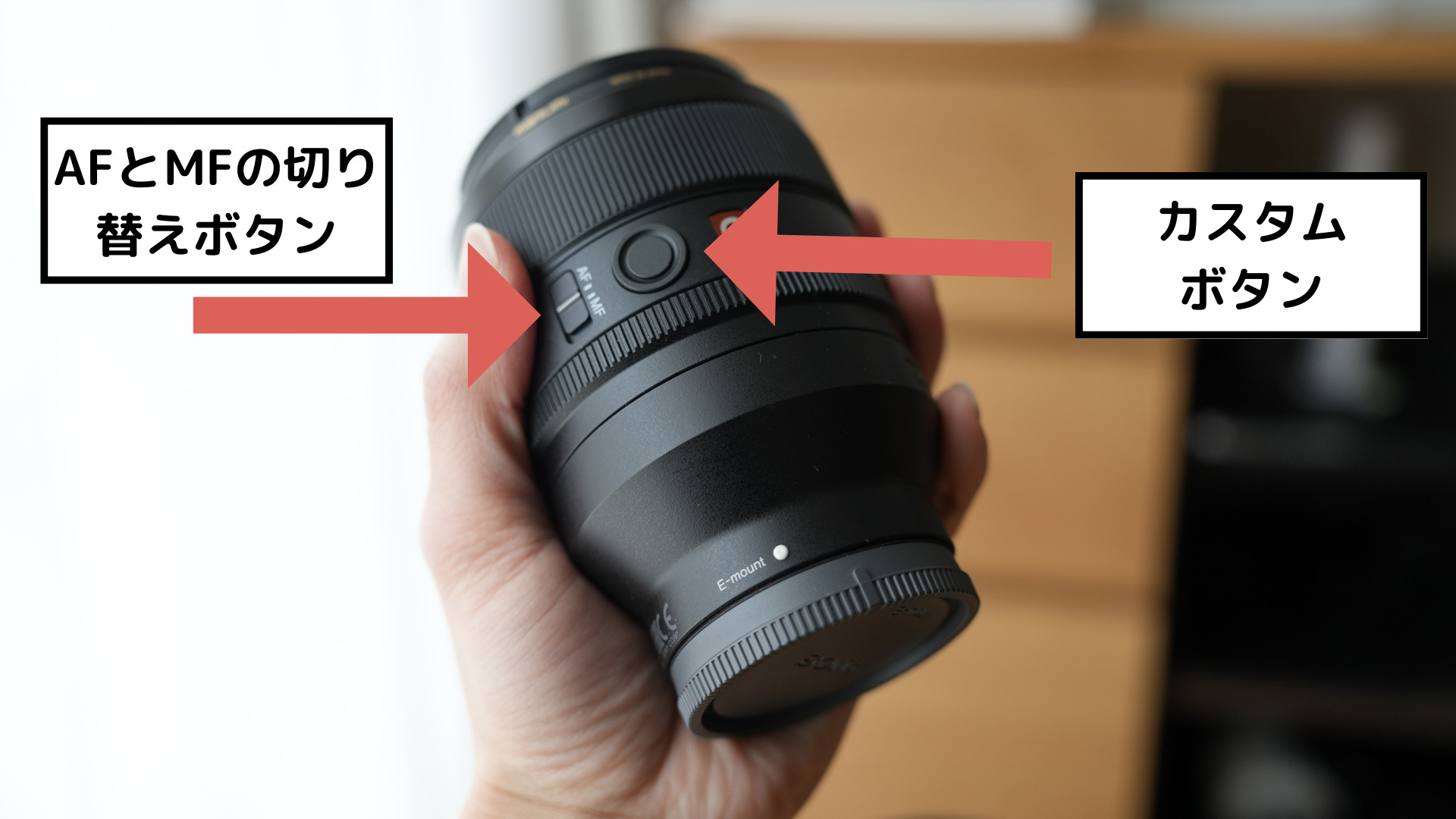 SONY FE50mmF1.2GMレビュー】至高の単焦点レンズ｜作例あり｜SEL50F12GM