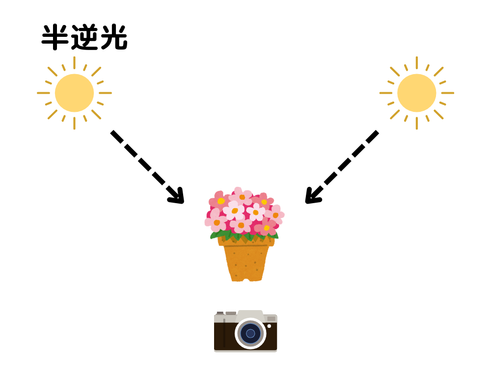 写真の光の向き、半順逆光を解説する画像
