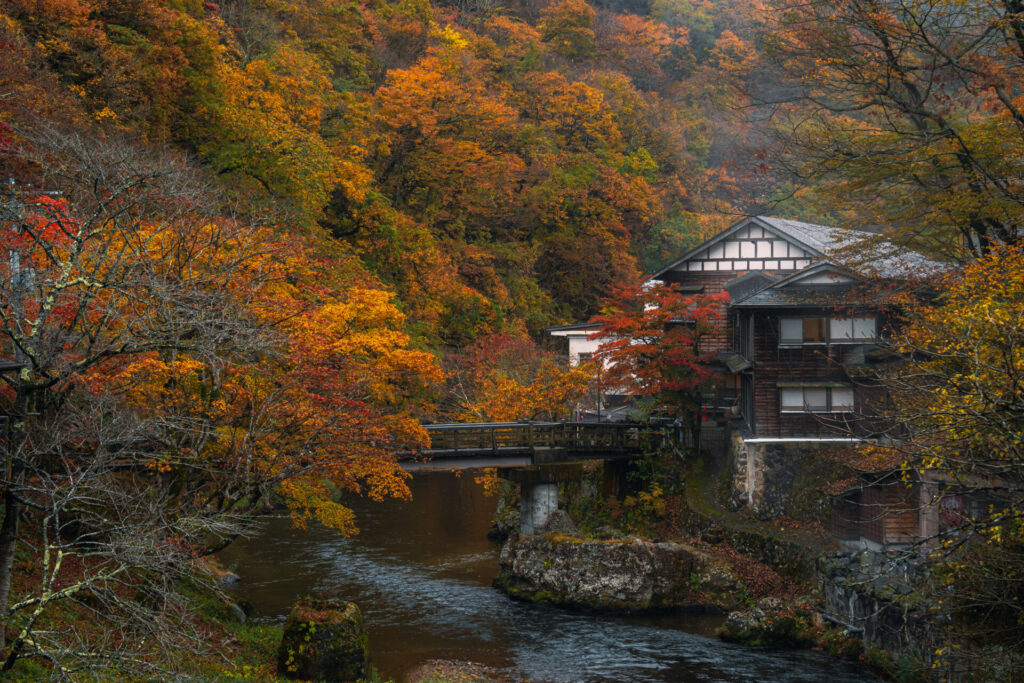 雨の日の紅葉写真作例