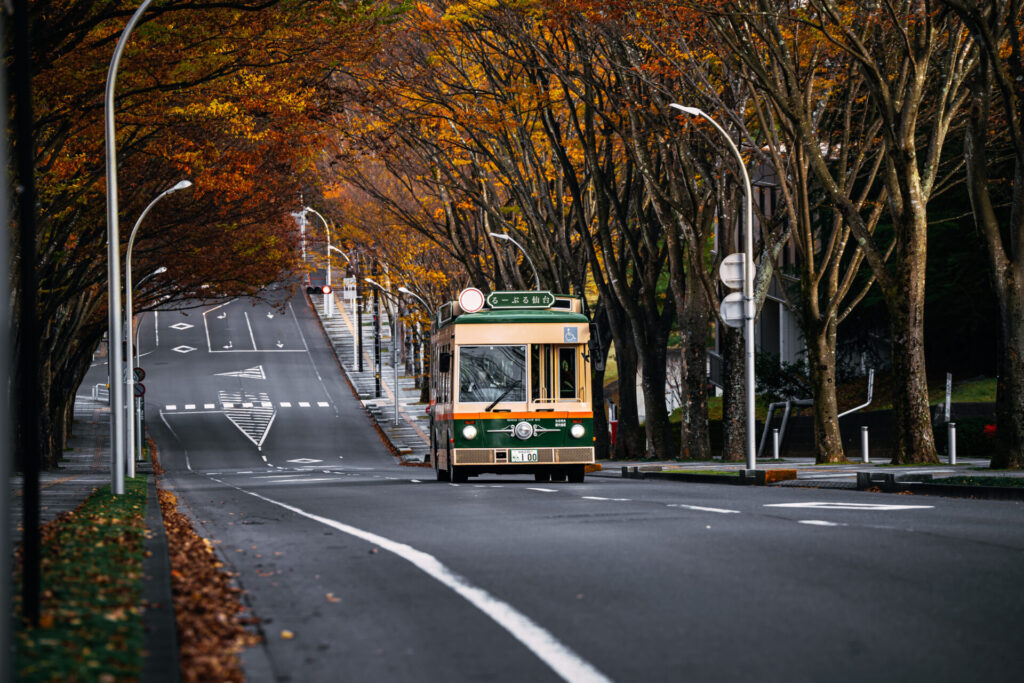 曇りの日の紅葉写真作例