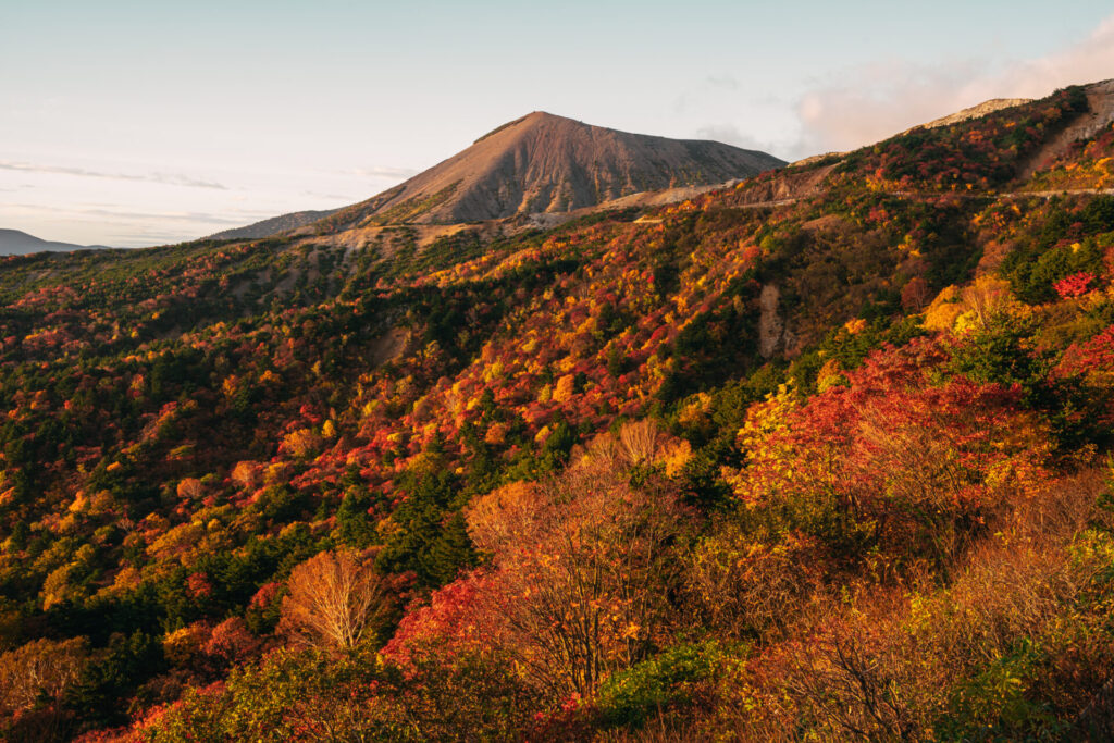 早朝に撮影した紅葉の写真作例