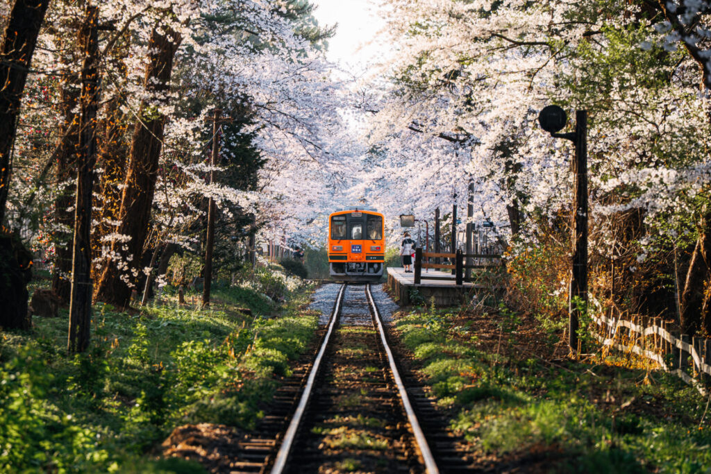 写真の副題を解説する画像