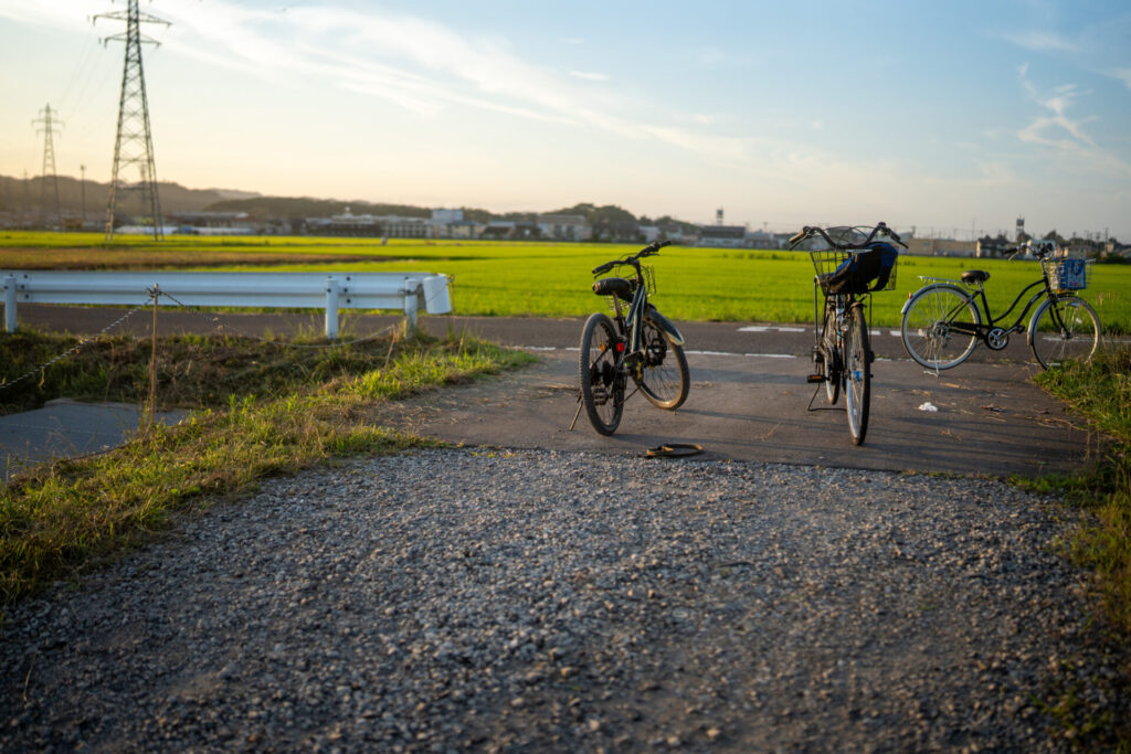 SIGMA35mmF1.4DG DNの作例画像